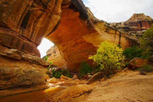 istock Natural Bridges National Monument Utah 2027758554