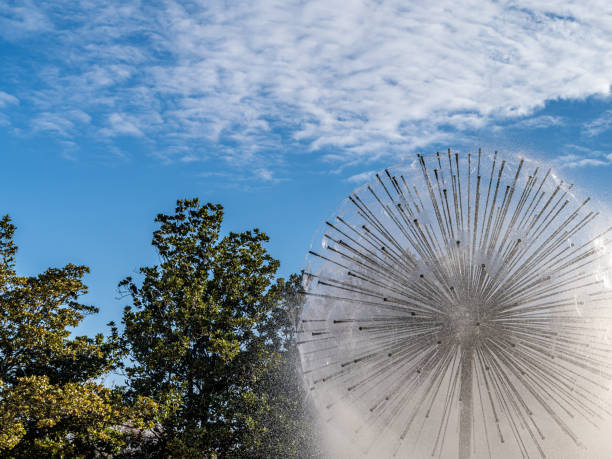 istock Dandelion Water Fountain in a park 2027771519