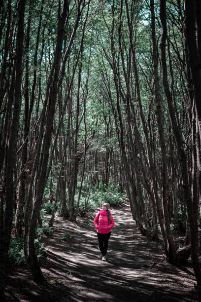 istock Young woman trekking through the forest. 2027792789