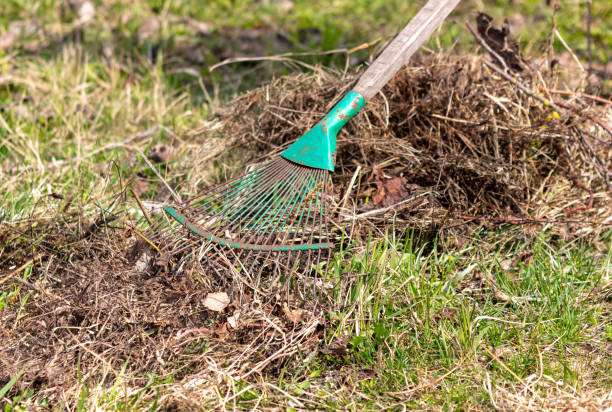 istock Rake for dry grass on the ground in the garden 2027804362
