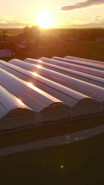 AERIAL Golden Glow: Aerial View of Greenhouse Bathed in Sunset Radiance