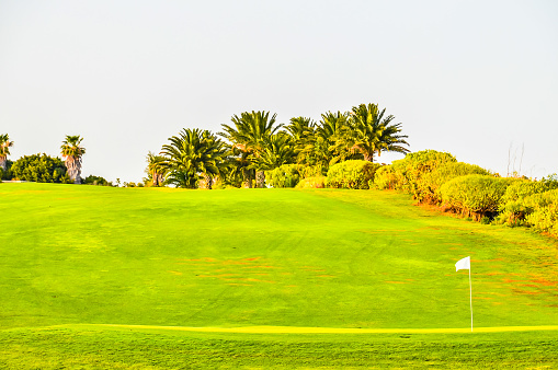 Golf Green Grass Fiel in a Tropical Climate