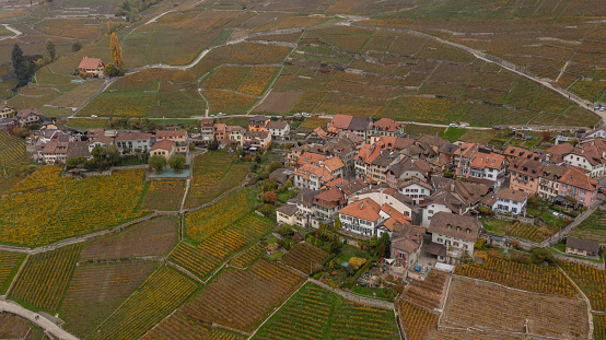 Hill s covered by vineyards along the Moselle river in Remich, Luxembourg