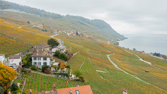 Drone aerial view of The famous Lavaux vineyard by lake Geneva near Vevey in Switzerland .View over Lake Geneva, Swiss and French Alps, Vevey and city scenery scape switzerland