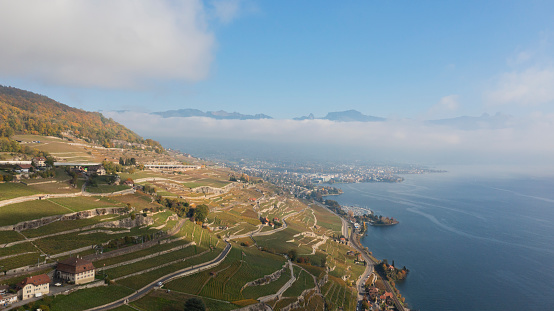 Drone aerial view of The famous Lavaux vineyard by lake Geneva near Vevey in Switzerland .View over Lake Geneva, Swiss and French Alps, Vevey and city scenery scape switzerland