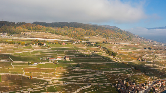 Drone aerial view of The famous Lavaux vineyard by lake Geneva near Vevey in Switzerland .View over Lake Geneva, Swiss and French Alps, Vevey and city scenery scape switzerland