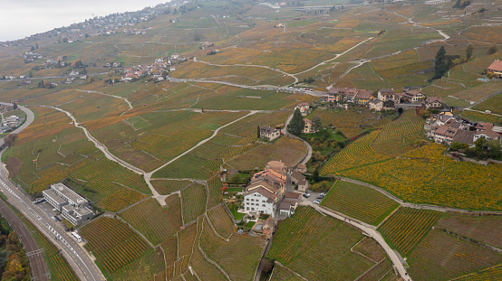 Drone aerial view of The famous Lavaux vineyard by lake Geneva near Vevey in Switzerland .View over Lake Geneva, Swiss and French Alps, Vevey and city scenery scape switzerland