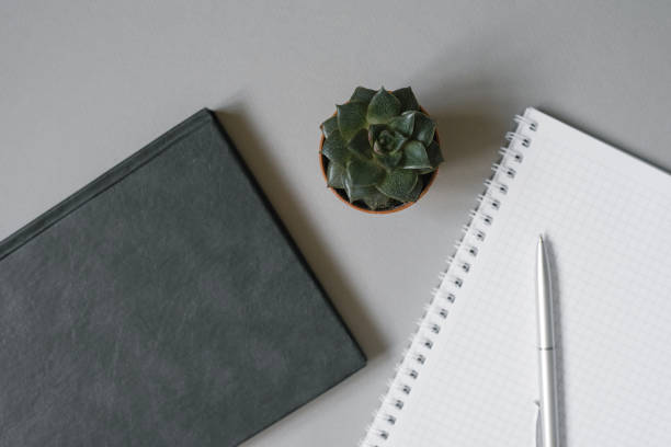 istock A gray Desk with office tools: a diary or Notepad, a ballpoint pen, and a succulent. Workplace of an office worker, freelancer, or blogger. 2027846682