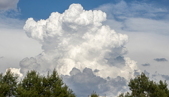 Close-up of a white fluffy cloud against a vibrant blue sky