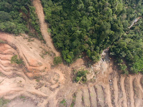 Deforestation occurring in the rainforests of Aceh, Indonesia for the construction of dams