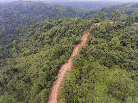 Aerial view of road clearing in Aceh rainforest, Indonesia
