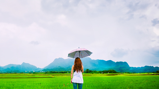 Asian women travel relax in the holiday. The women stood holds an umbrella in the rain happy and enjoying the rain that is falling. travelling in countrysde, Green rice fields, Travel Thailand.
