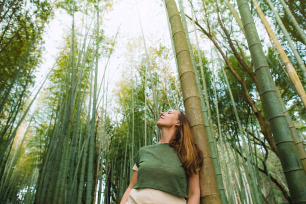 istock Woman in a bamboo forest 2027913420