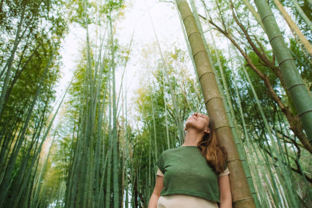 istock Woman in a bamboo forest 2027913425
