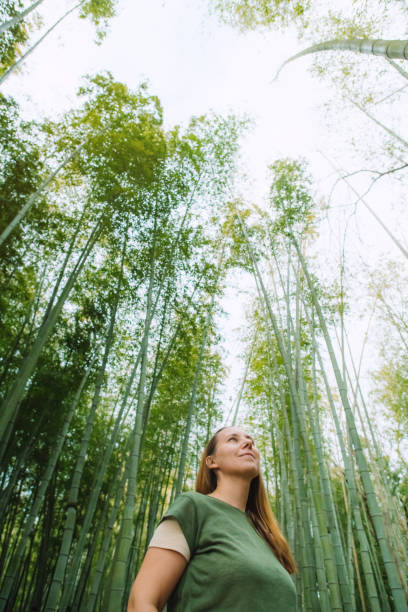 istock Woman in a bamboo forest 2027914465