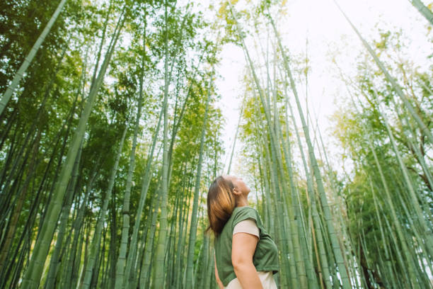 istock Woman in a bamboo forest 2027914471