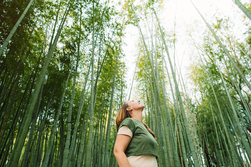 Woman in a bamboo forest