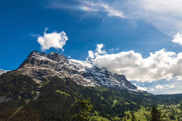 mountain  near gimmelwald - jungfrau waterfall tree nature zdjęcia i obrazy z banku zdjęć