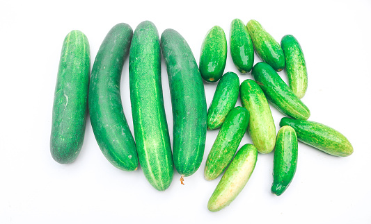 Collection of large fresh green cucumbers isolated on white background. Long cucumber from Asian agriculture