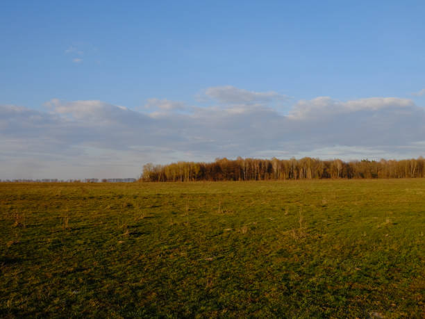 istock Cloudy sky over a field. A small forest in the distance. 2027991243