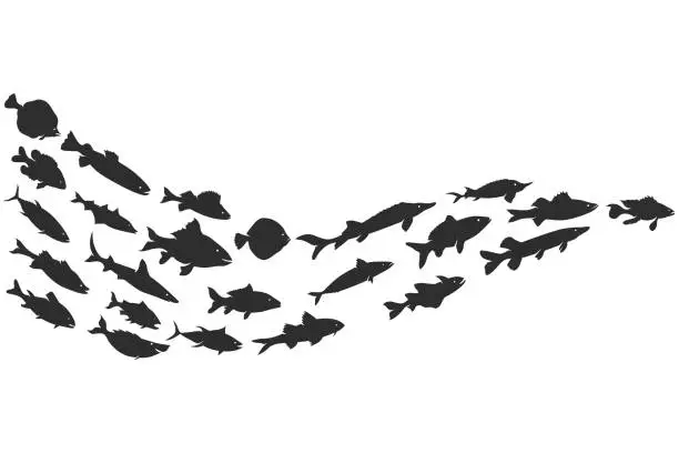 Vector illustration of Silhouette of large school of fish vector illustration