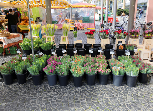 Mainz, Germany-March 28,2015:Unidentified People and Colorful Flowers for Sale at Mainz Farmers Market