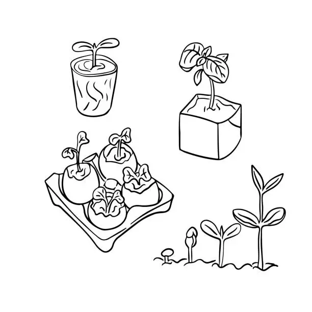 Vector illustration of Black hand drawn doodle set with growing plants