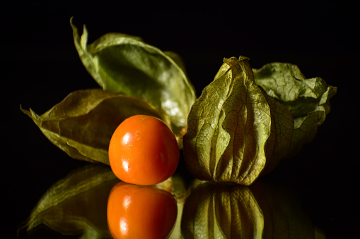 Physalis or tomatillo placed with black background
