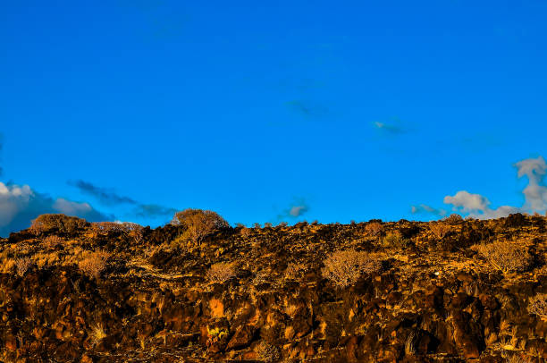 Volcanic Rock Basaltic Formation in Canary Islands