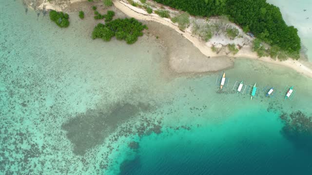 Aerial view of sea coastline with emerald water, waves, sandy beach and palm trees. Drone flying over seacoast with shallow blue water. Palawan, Philippines
