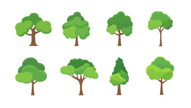 ilustrações, clipart, desenhos animados e ícones de flat tree icon illustration. trees forest simple plant silhouette icon. nature oak organic set design - leaf branch tree green
