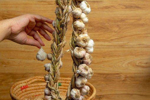human hands holding garlic braid on old wooden background