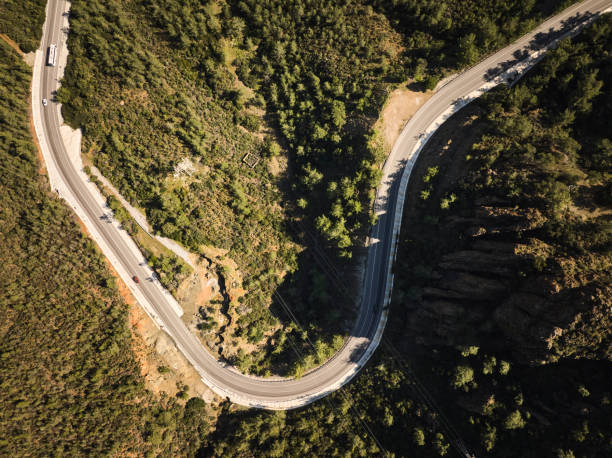 istock Curvy Road in Summer Pine Forest 2028170758