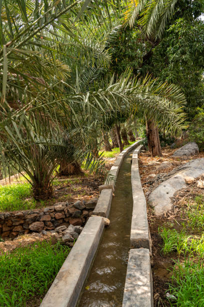 istock Traditional irrigation system in oasis in Wadi Bani Awf - Al Hamra,Oman 2028196866