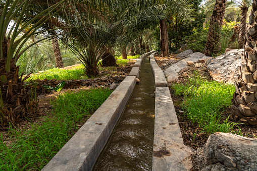 Typical irrigation system in oasis in desert village, Al Misfah at Al Hamra, on the way through Wadi Bani Awf—one of Oman’s most picturesque valley.