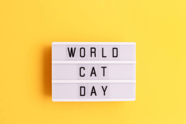 istock Lightbox with quote World cat day. 2028199662