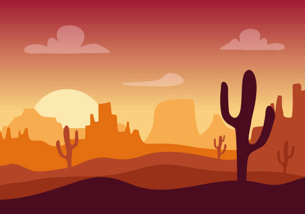 ilustrações de stock, clip art, desenhos animados e ícones de desert sunset silhouette landscape. arizona or mexico western cartoon background with wild cactus, canyon mountain - mammillaria cactus