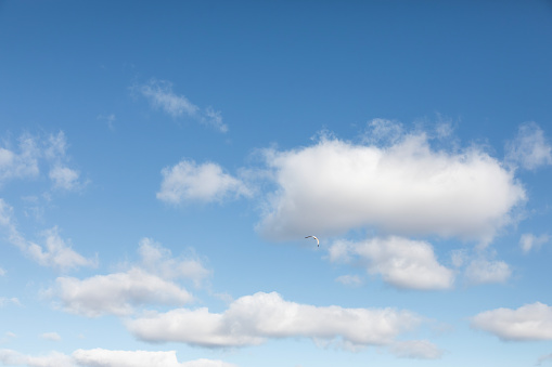 Cumulus white clouds floats in a clear blue sky for background with natural sun lensflare effects