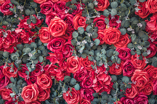 fullframe background of red artificiale roses.