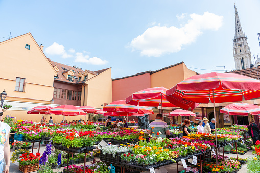 Zagreb Croatia - May 23 2011; Dolac Flower market outdoors with red and white stall holder umbrellas.