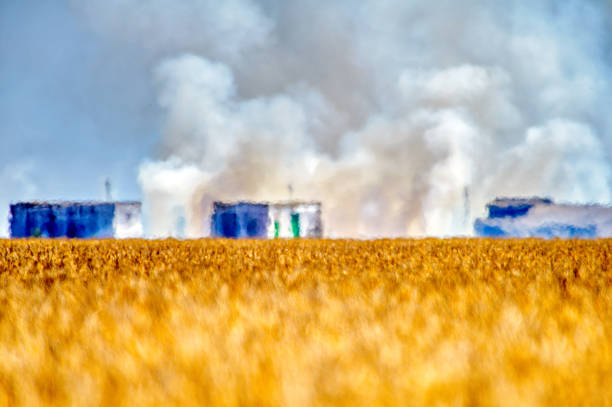 Stubble burning in the rice fields, Isla Mayor, Seville, Spain