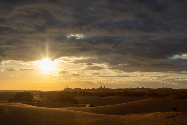 Maspalomas, Spain - November 26, 2023: natural sand dunes of Maspalomas  near Maspalomas, Spain