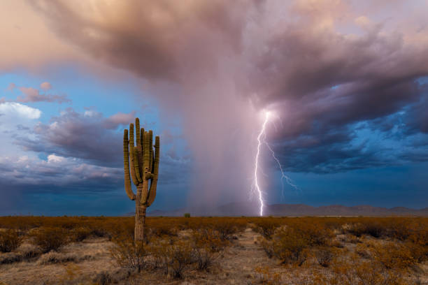 istock Monsoon thunderstorm lightning bolt in the Arizona desert 2028253227