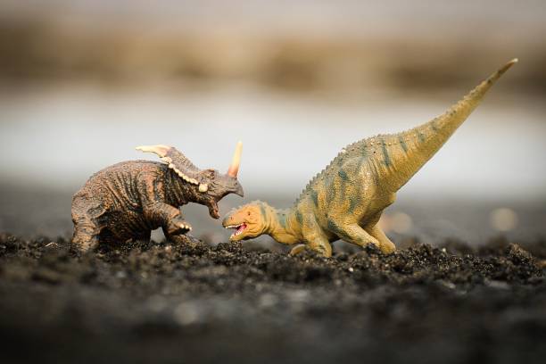 istock An herbivore dinosaur and carnivorous dinosaur having a show down 2028263072