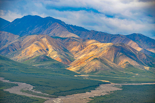 Polychrome Pass, Denali National Park, Alaska.  Golden colors on mountainside with streams flowing down into green meadows.