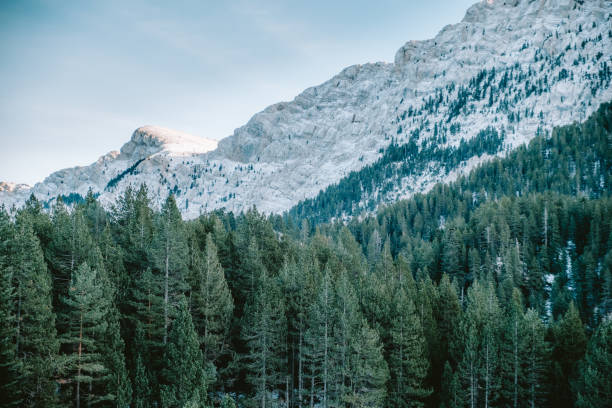 Winter Wonderland, Cadi Moixero, Pirineo, Spain
