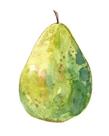 Watercolor guava fruit illustration isolated on white background