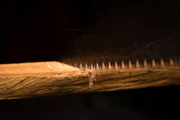 Person cutting wood with handsaw (detail)