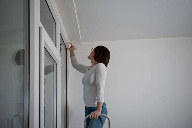 istock Young happy woman paints her apartment 2028339689