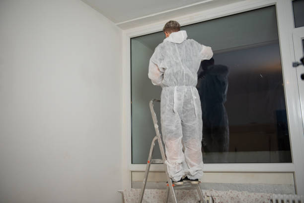 istock Young happy woman paints her apartment 2028343326